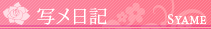写メ日記
